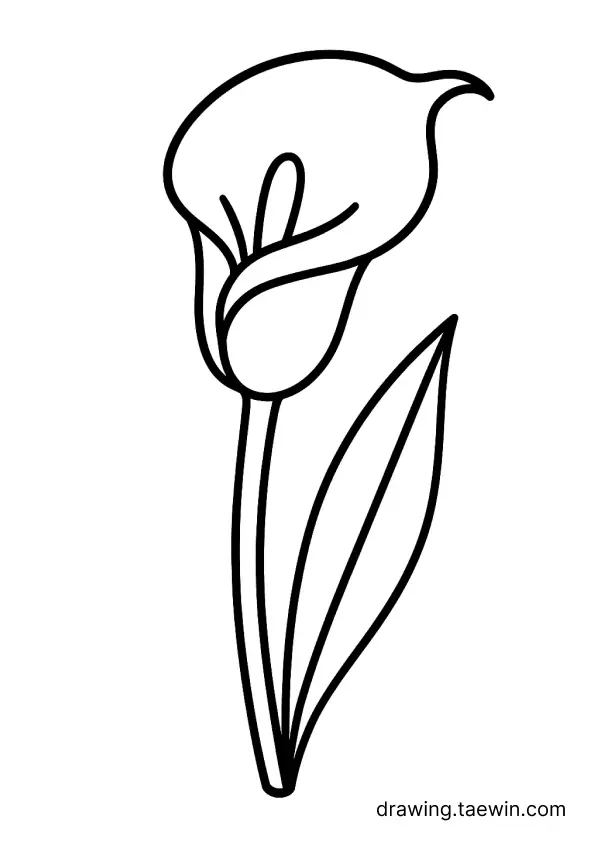 Calla 색칠공부 도안 다운로드