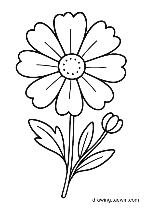 Cosmos 색칠공부 도안 다운로드