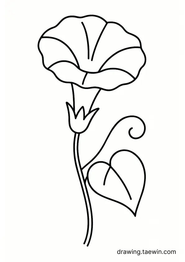 morning glory 색칠공부 도안 다운로드
