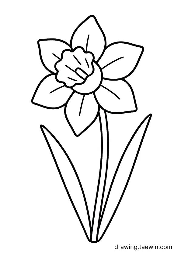 Narcissus 색칠공부 도안 다운로드