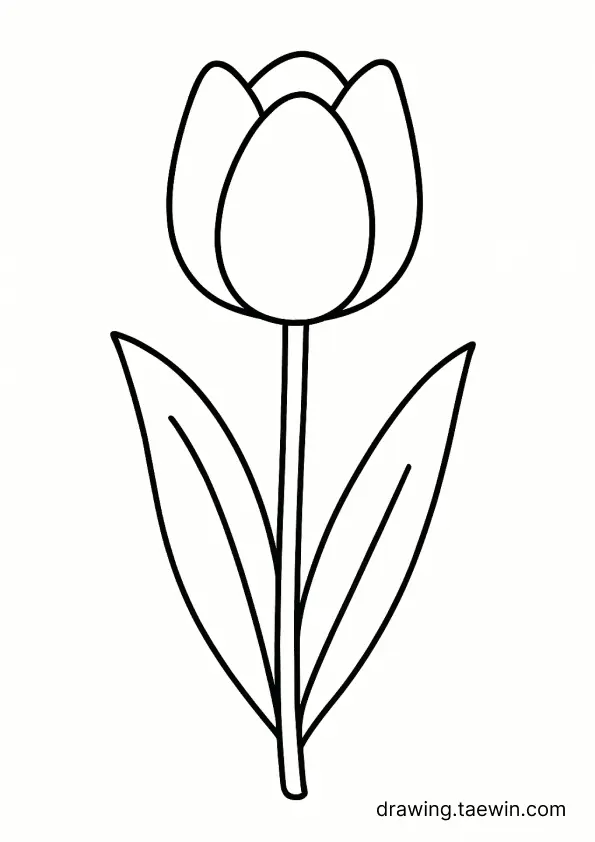 tulip 색칠공부 도안 다운로드